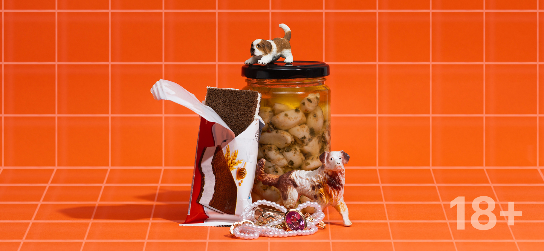 День из жизни студентки и адми­ни­стратора в груминг-салоне из Нижнего Новгорода с зар­пла­той 30 000 ₽