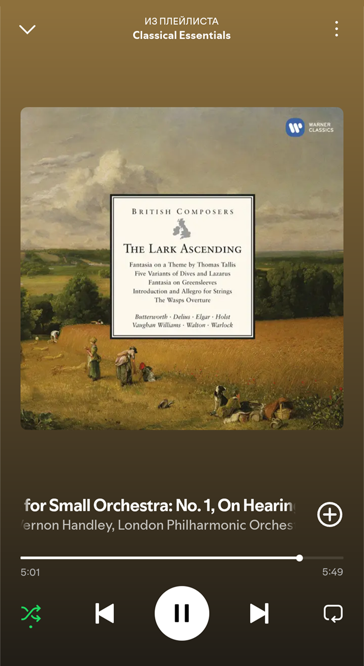 Фоном слушаю музыку, сегодня настроение для классики