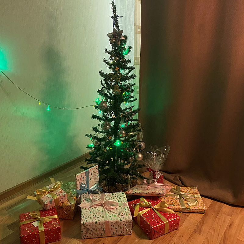 Наша елка с подарками под ней