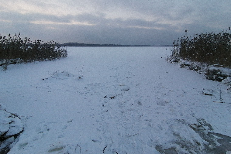 Спускаемся к замерзшему озеру, смотрим вдаль и сквозь камыши идем обратно. Дети съезжают с пригорков в овраги и барахтаются в снегу. Я любуюсь природой и фотографирую заснеженные заросли