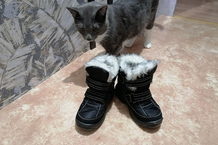 Новые ботинки сына