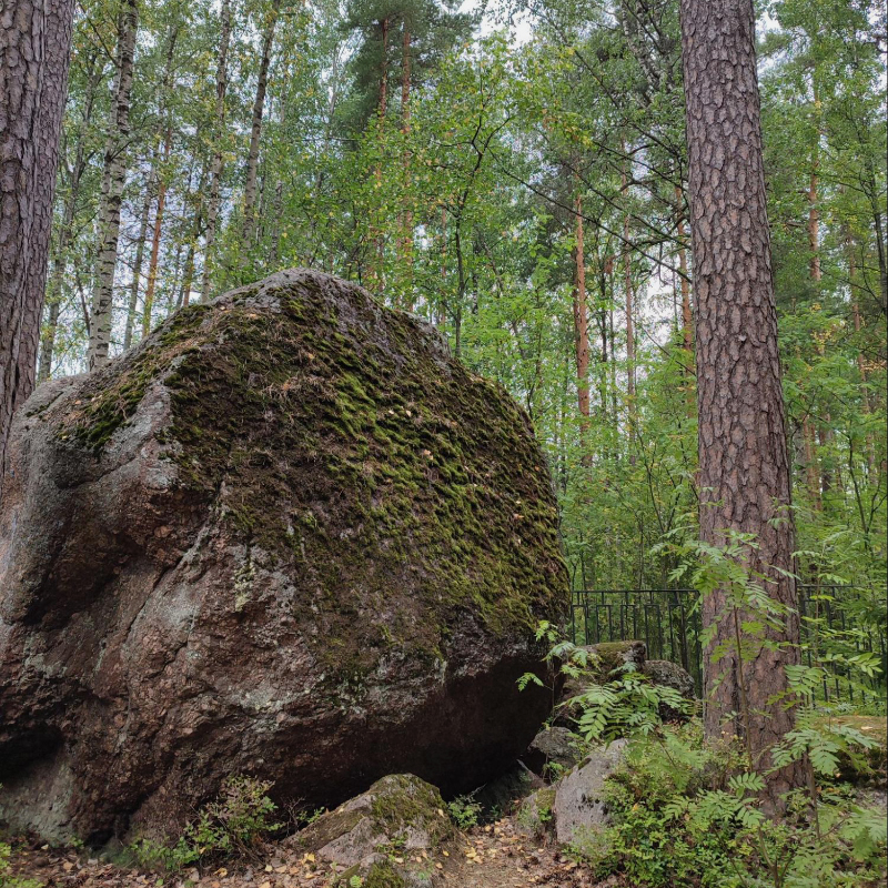 Огромный камень в парке Монрепо