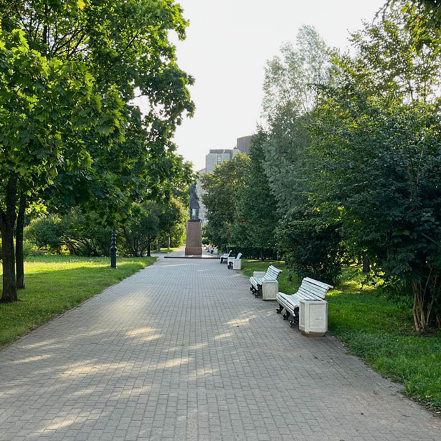 Каждый раз прохожу через парк на Ваське. Сфоткал зелень на новый Айфон