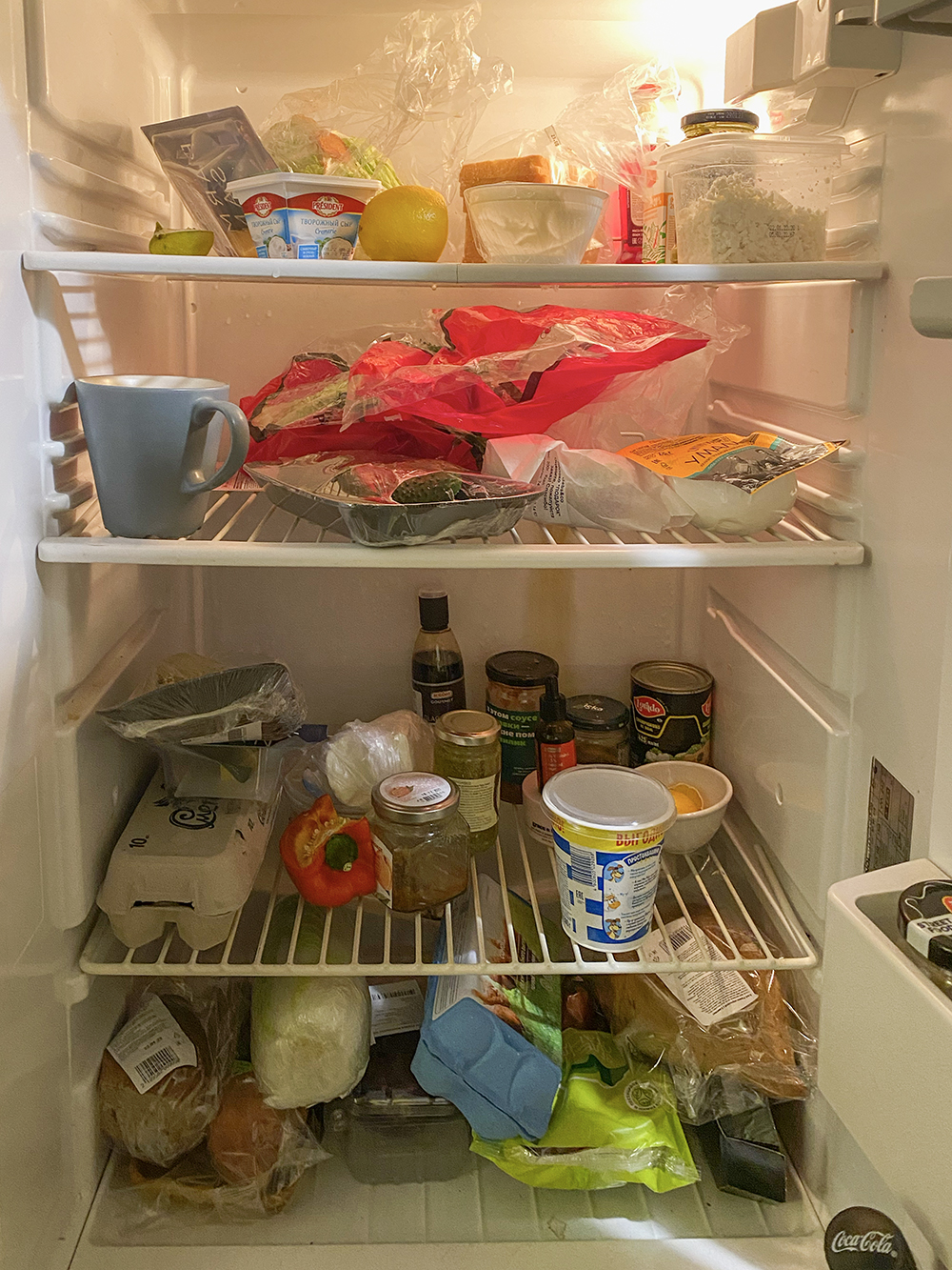 Наш холодильник. Верхние две полки мои, две нижние — Зеленого