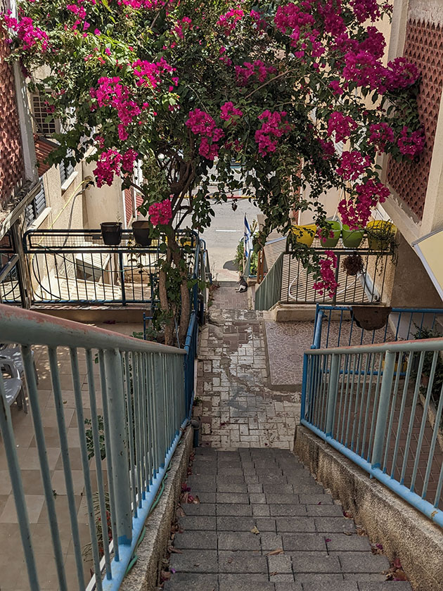 Кирпичная лестница, через каждые 12 ступенек — терраса, с каждой стороны террасы по две двери в квартиры