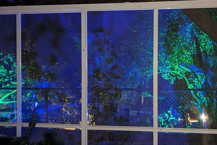 Соседи включили у себя подсветку, поэтому сад выглядит мистически