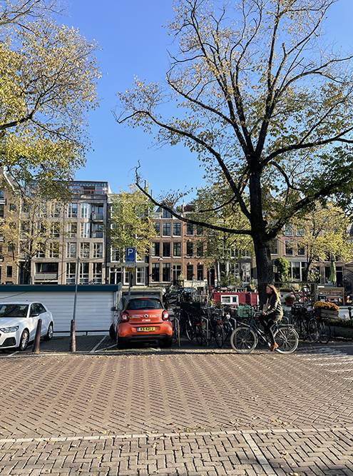 Велодорожки в Амстердаме и Роттердаме