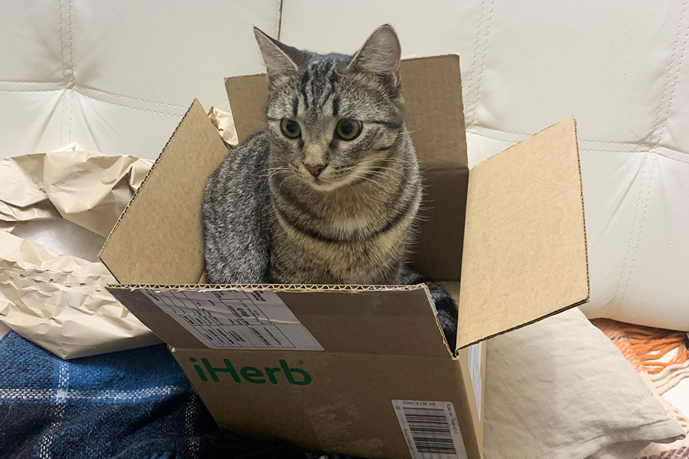 Котик помог распаковать