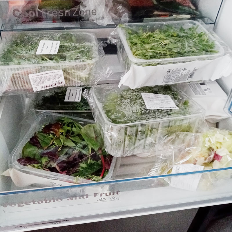 Запасы зелени у нас в холодильнике