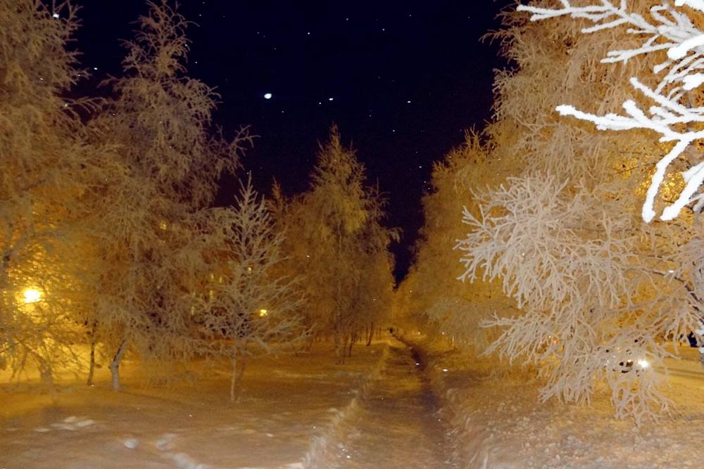 Зимой в Сургуте очень красиво: белый снег и деревья, одетые в иней