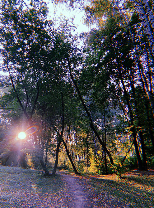 В парке классно, светит солнце