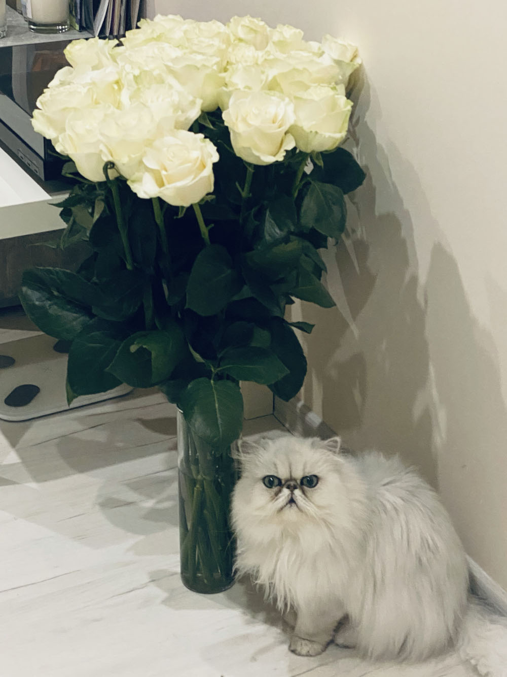 Три любови на одном фото: цветы, коты и любимое место в квартире. Фото из гостиной, весы стоят под столиком, на котором виниловый проигрыватель. Рядом видны пластинки и свечи