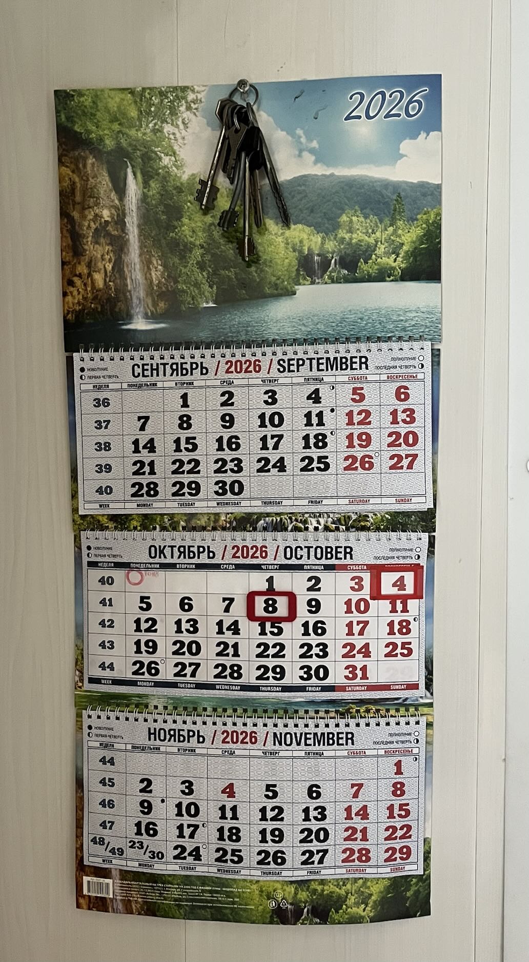 День пятый