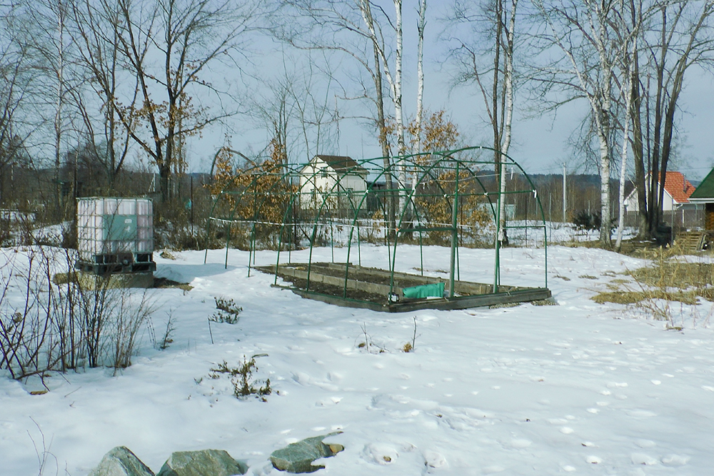 Теплица зимой. Еврокуб стоит на колодце, теплую воду используем для капельного полива