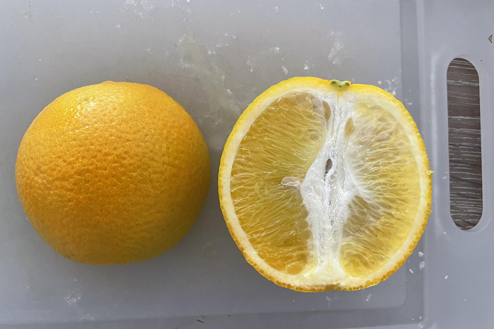 Апельсин вкусный