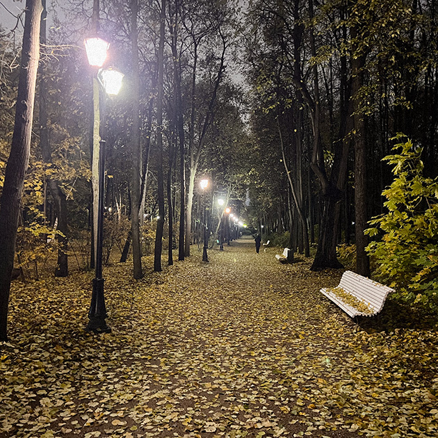 Дорога через вечерний парк