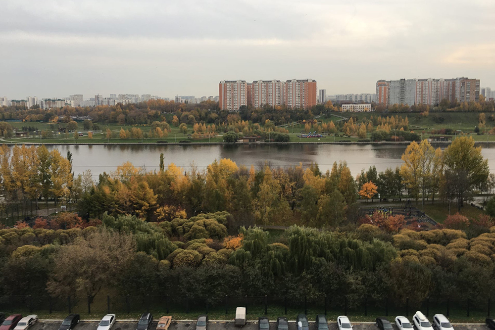 Вид из окна на Москву⁠-⁠реку. Сегодня пасмурно