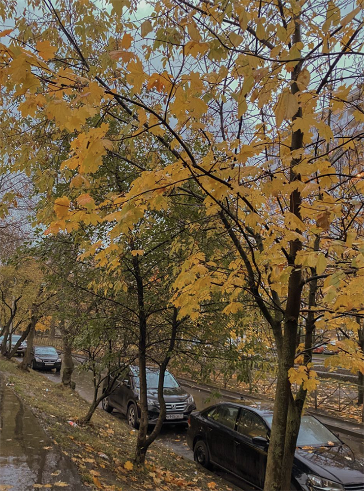 Осенняя Москва впечатляет