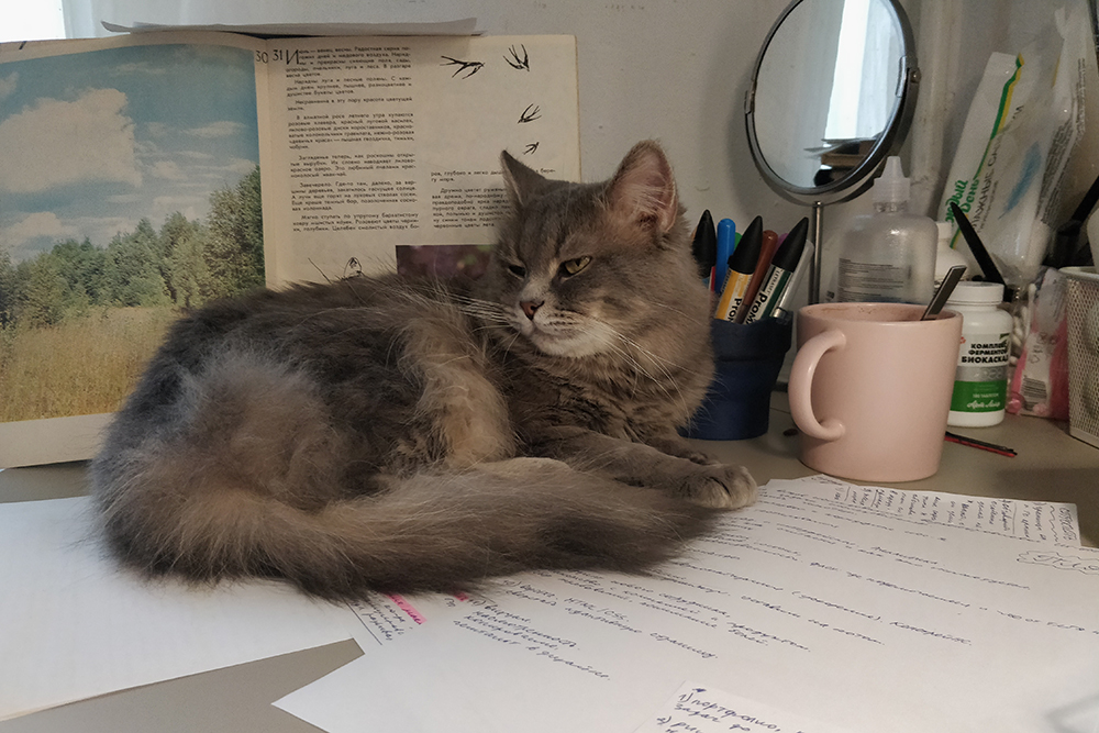 Кот все время ложится на бумагу у меня на столе