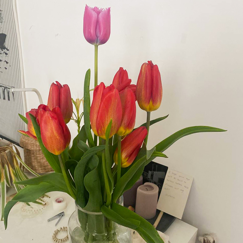 Тюльпаны для подруги
