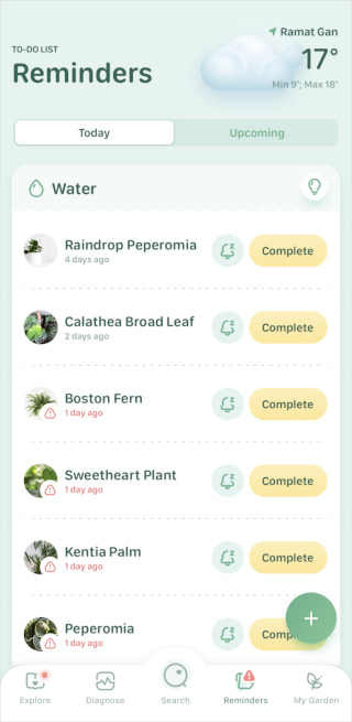 Это приложение Blossom, которое напоминает о поливе и может узнать растение по фотографии, проанализировать его болезнь и подсказать уход