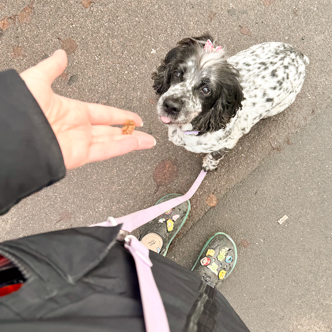 На прогулке с Булочкой