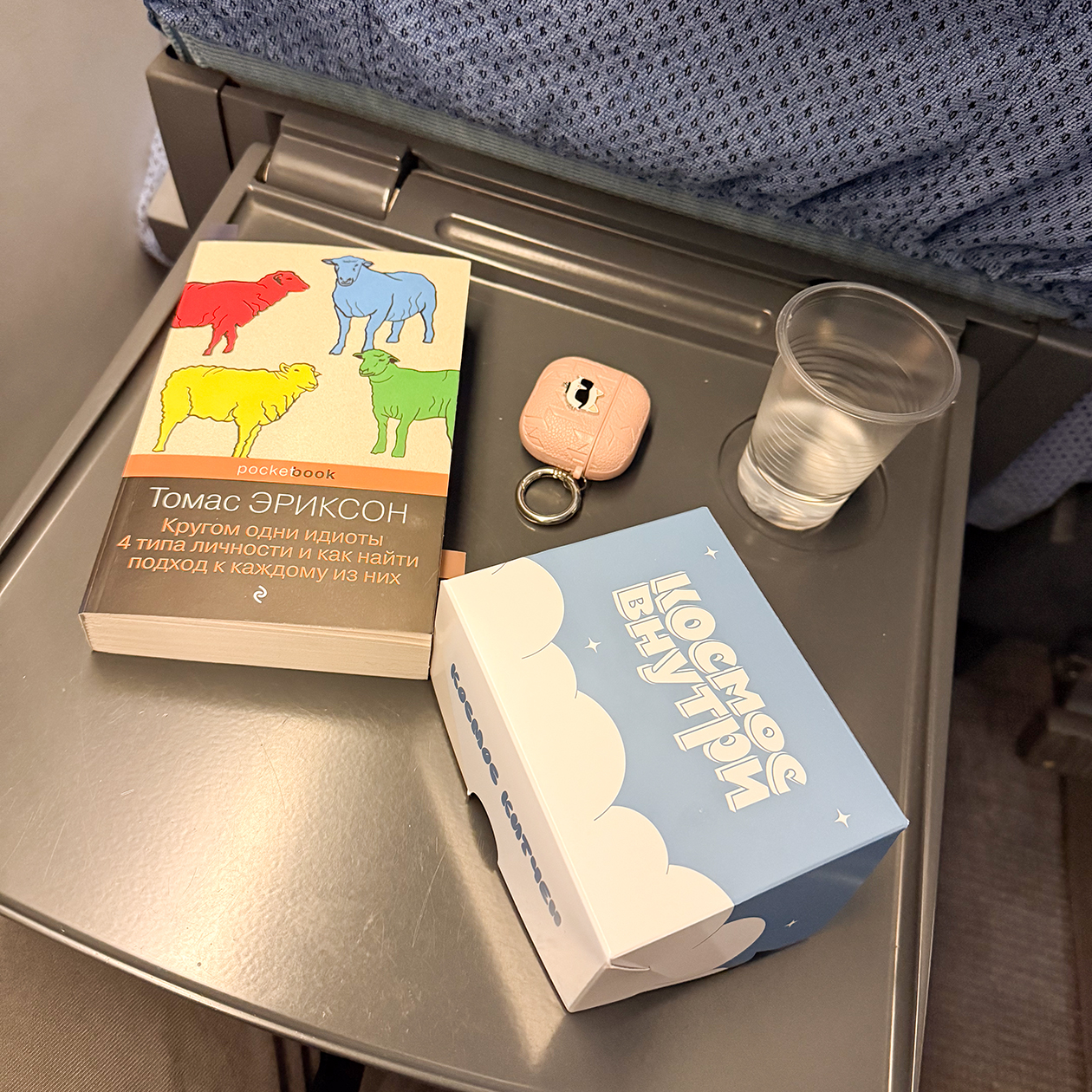 Едем домой в поезде