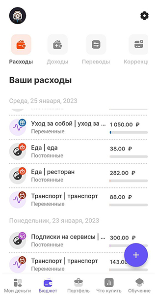Так выглядит приложение, где я веду учет трат