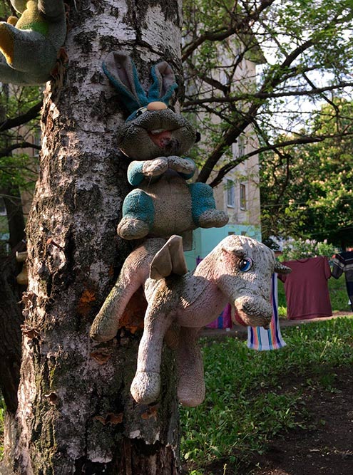 В одном из дворов игрушки привязаны к деревьям. Какой все⁠-⁠таки забавный способ пристроить мягкие игрушки после того, как они отслужили свое