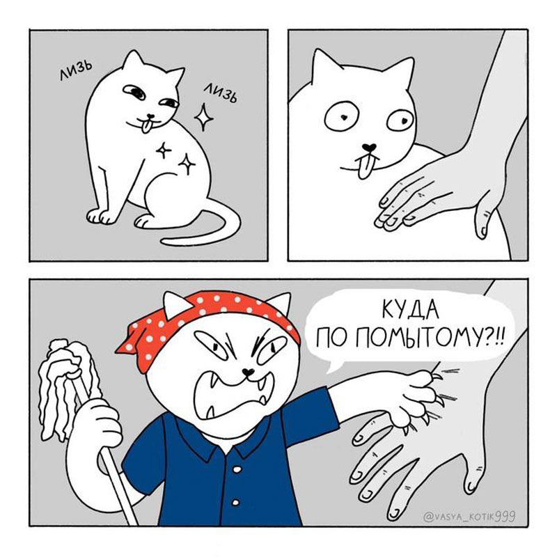 Кошка be like