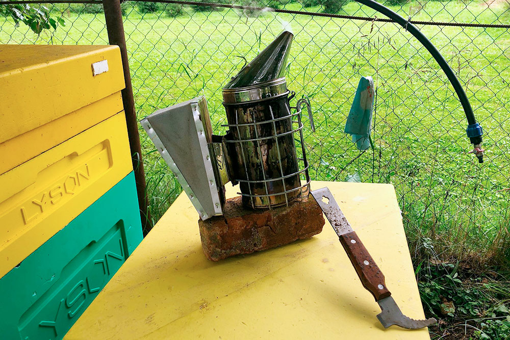 Стандартные инструменты пчеловода: дымарь и стамеска