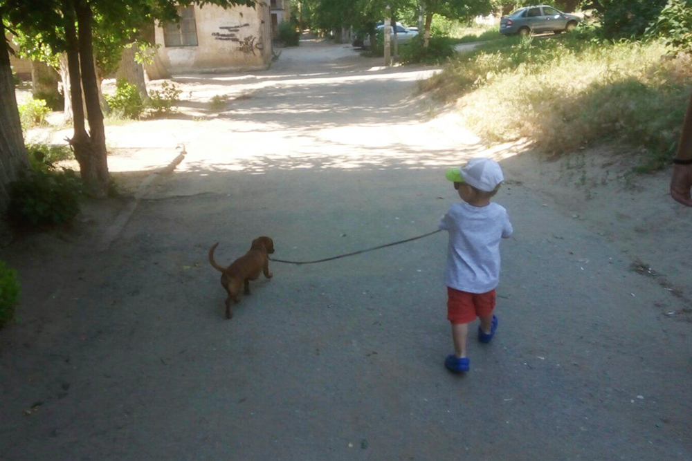 Типичная прогулка с ребенком