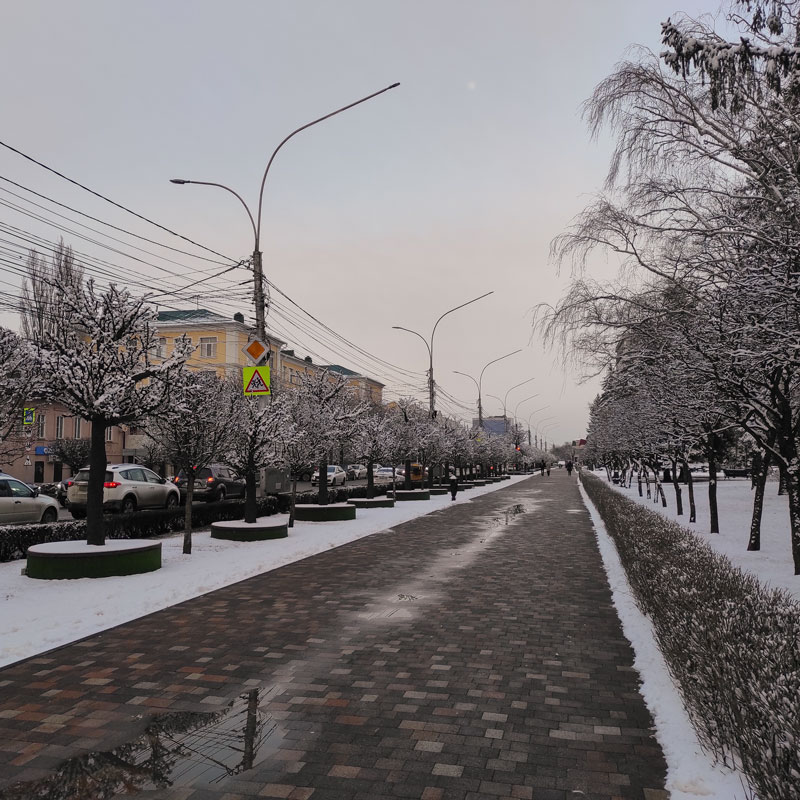 Улица Дзержинского и пластиковые деревья, позже покажу вечером еще раз