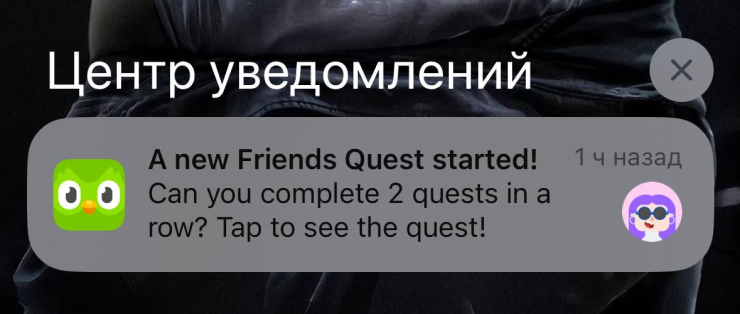 Уведомление от зеленой совы