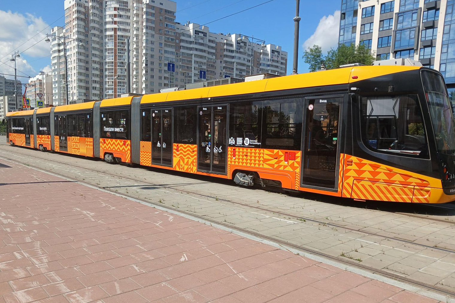 Посмотрите на этого красавца!
