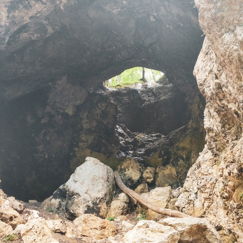 Сквозная пещера. По фотографии сложно оценить масштаб: наверху стоит большое дерево с диаметром ствола не меньше метра