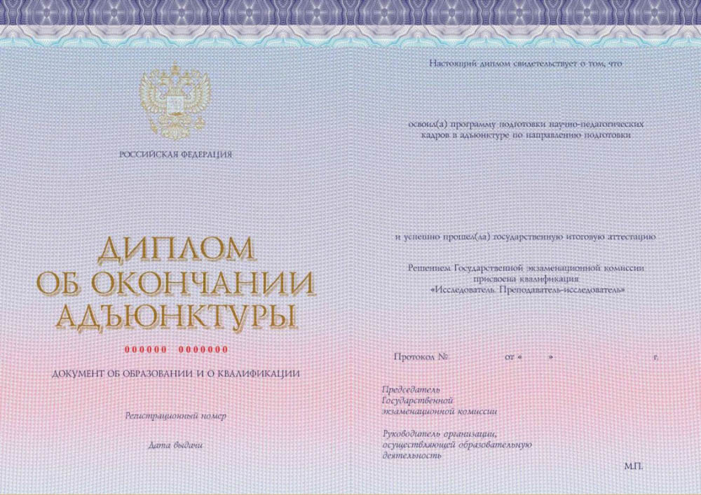 Диплом об окончании адъюнктуры выдают только военные вузы. Источник: kt-print.ru