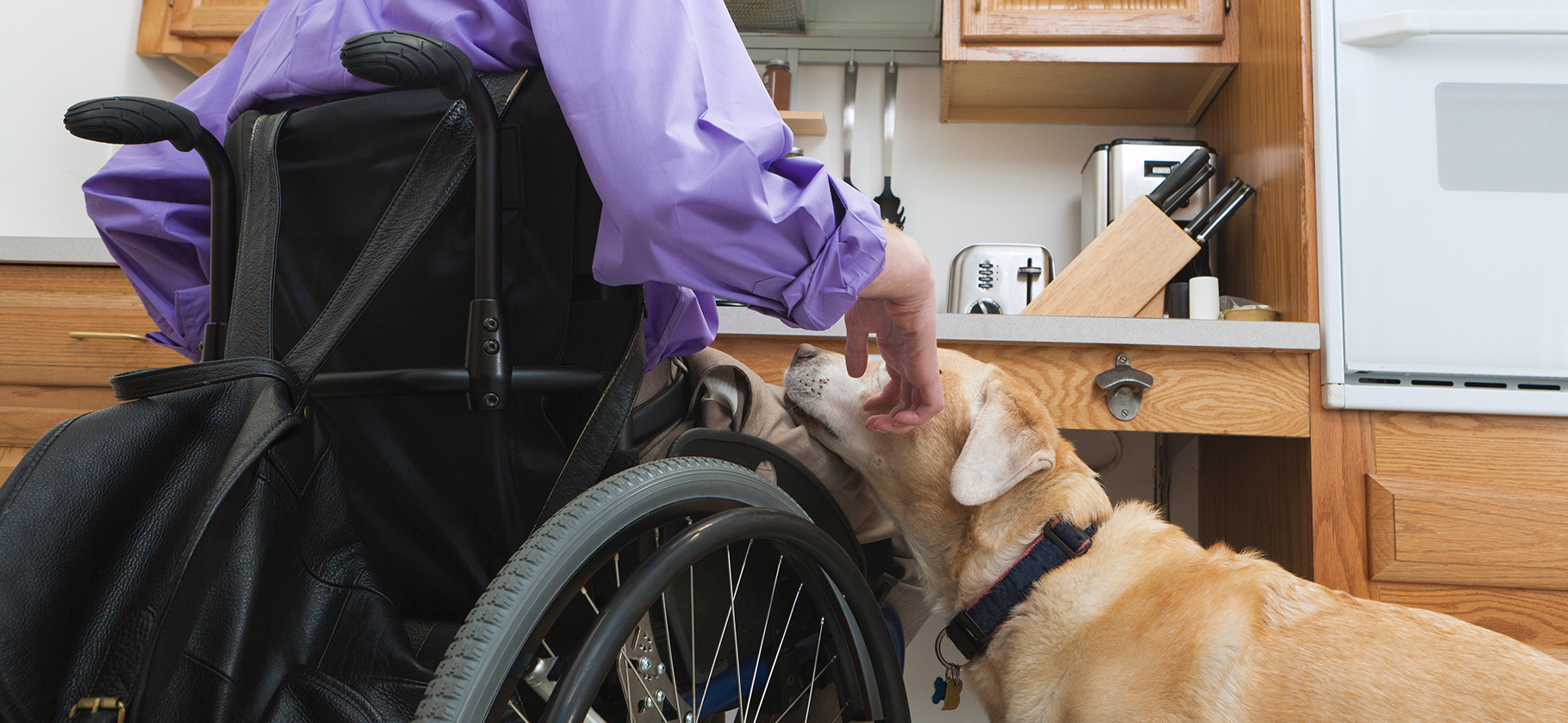 Справки об инвалидности начали выдавать в электронном виде
