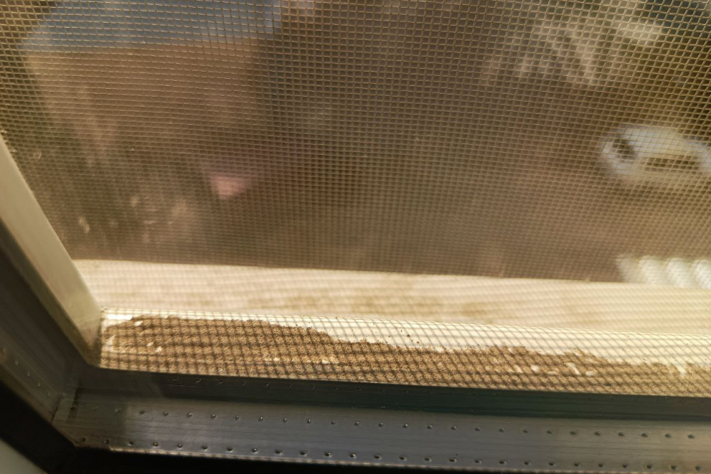 Окна я мыла в июне, но сейчас они покрыты слоем грязи. Зимой с этим получше, так как ветер не такой сильный
