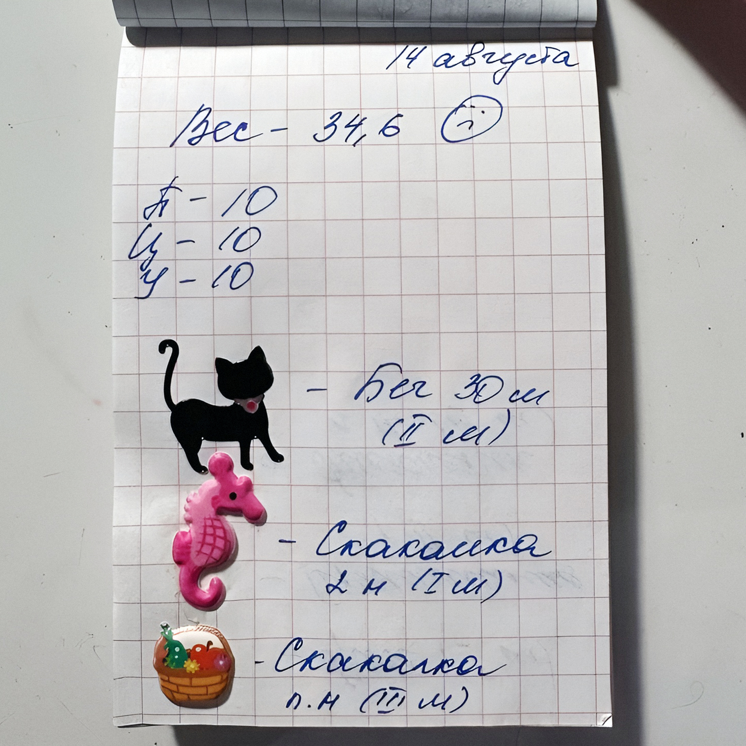 Эту запись сделала тренер в моем дневнике, когда я была в третьем классе