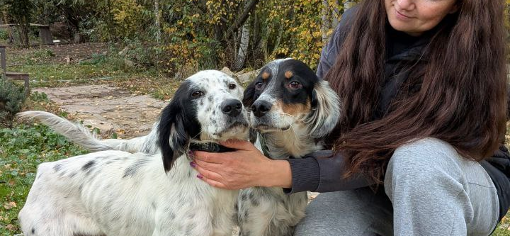 Я спасаю собак с трасс Грузии и трачу на свое увлечение более 300 000 ₽ в год