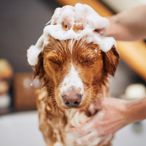 Обложка статьи