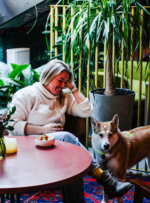 В баре «Маньяна» столик для гостей с крупными собаками визуально отделен от зала декоративным ограждением и зеленью