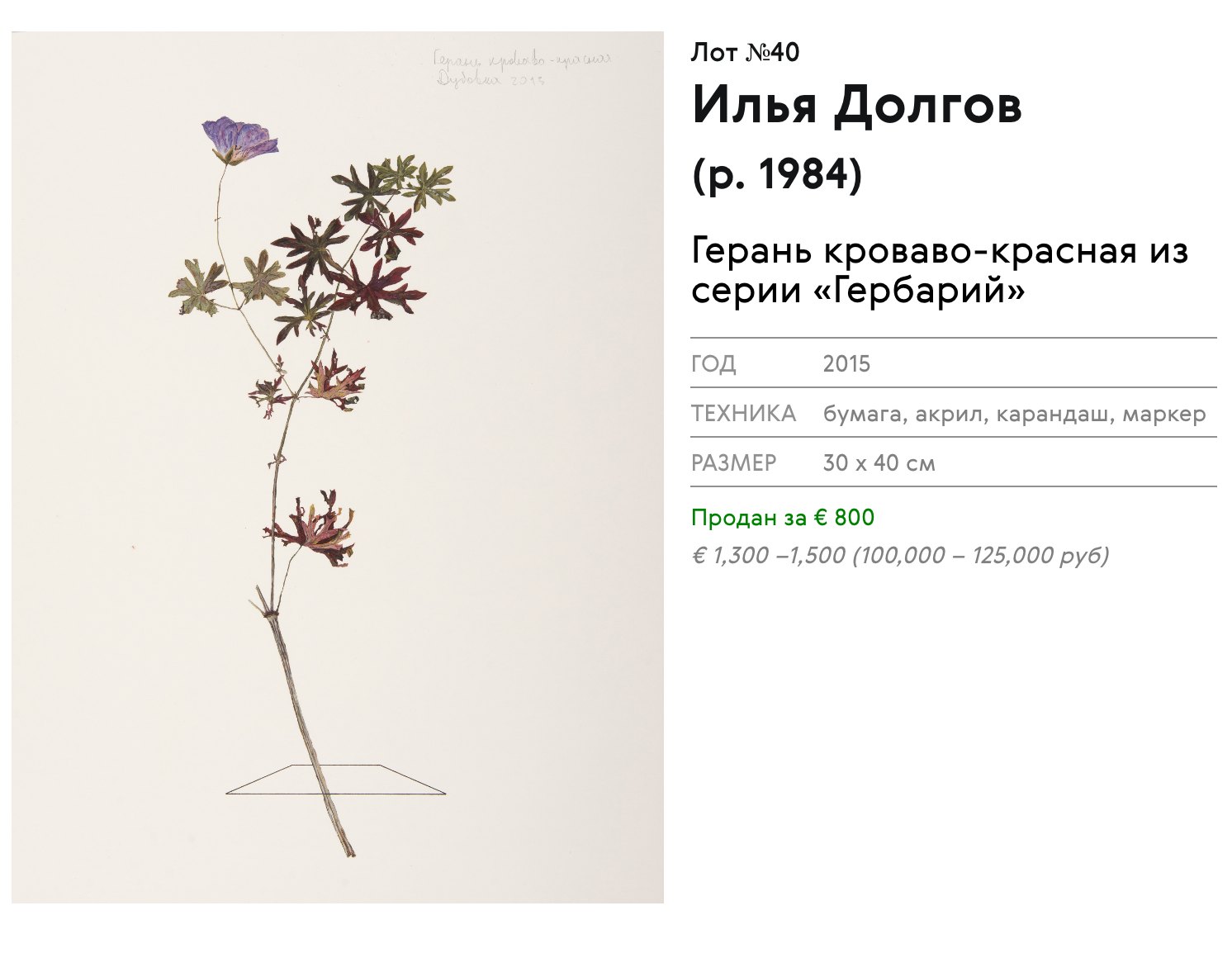 Серия «Гербарий» продаётся в московский галерее XL, цена за 1 лист — 1100 €