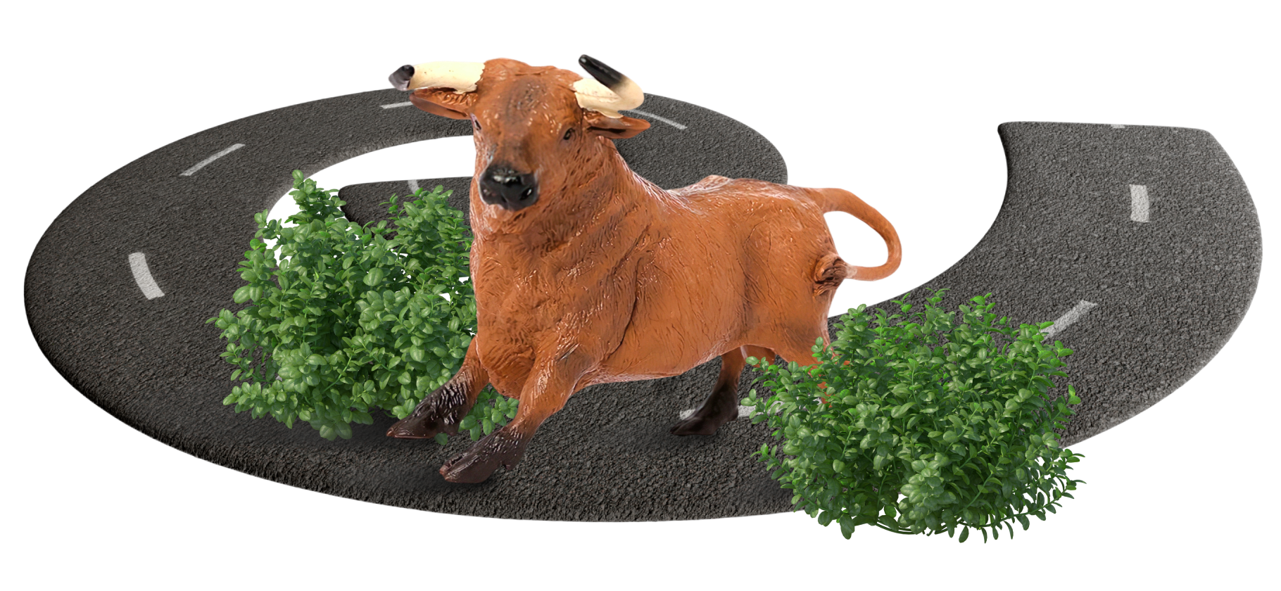 Как мы попали в аварию с буйволом на арендо­ванной машине в Абхазии