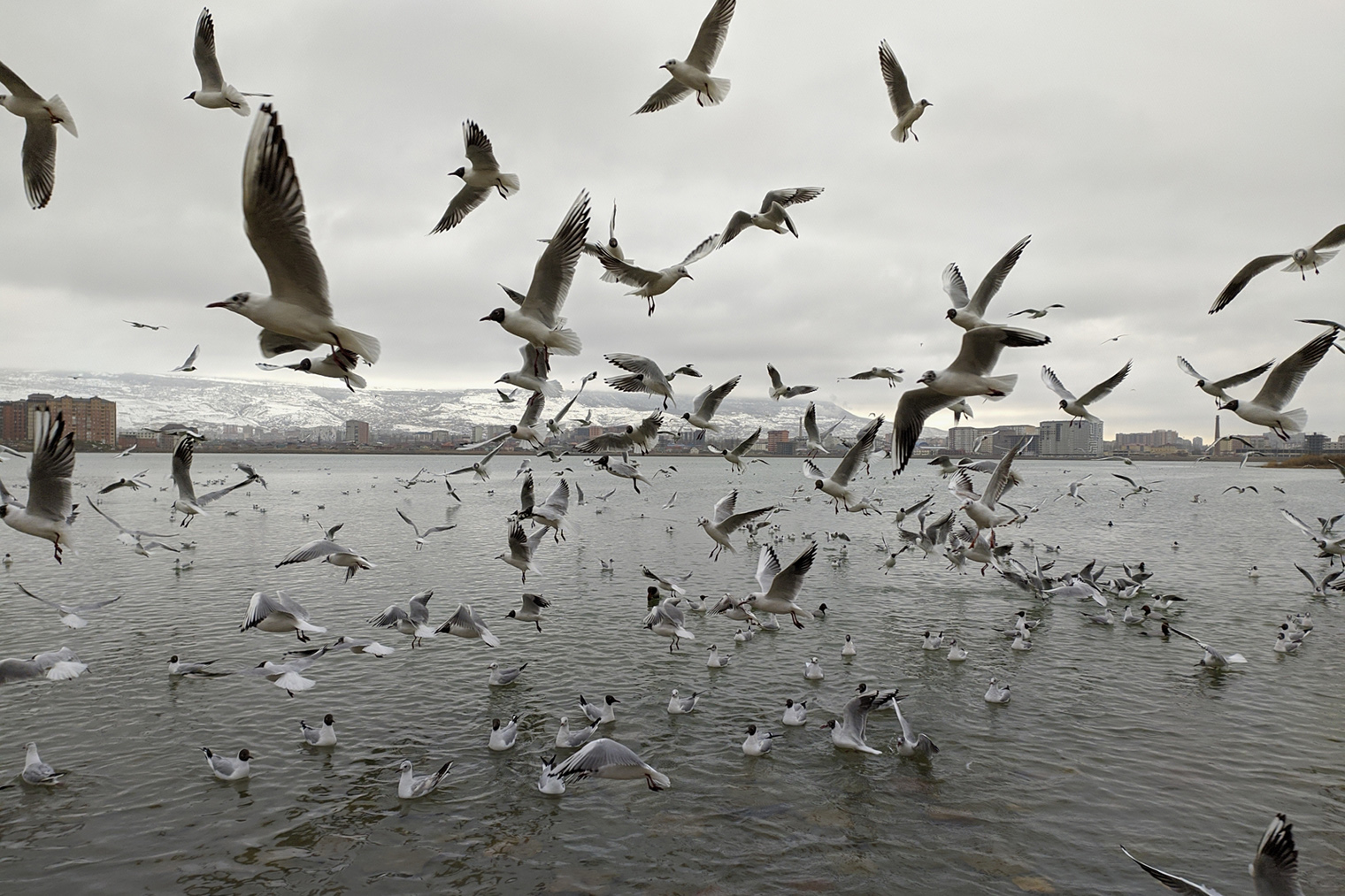 Вид с набережной озера Ак⁠-⁠Гель. Фотография: Basir Medzhidov / Wikimedia