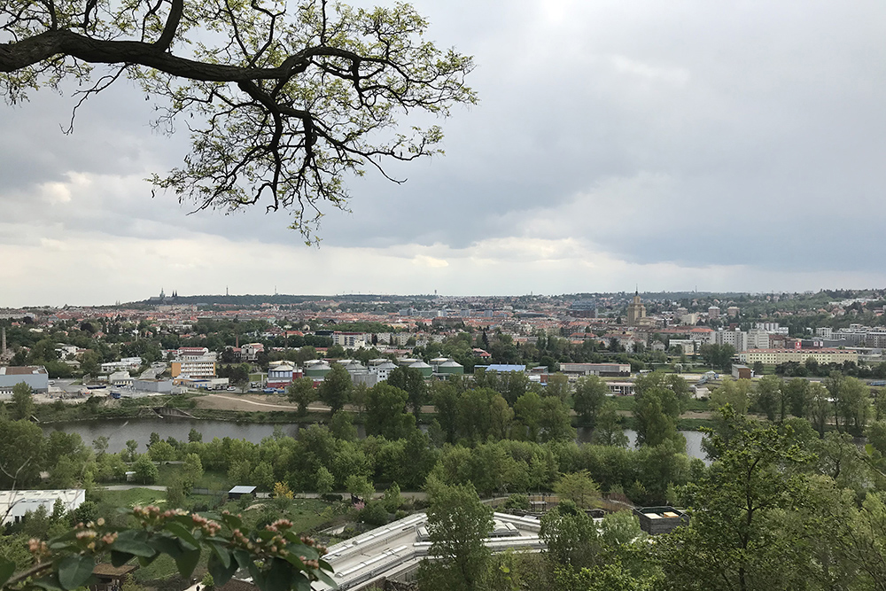 Вид на город с самой высокой точки зоопарка