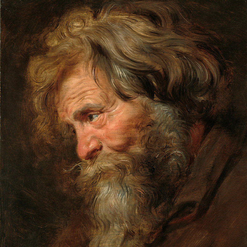 Оригинал картины «Голова старика» Рубенса. Источник: gallerix.ru