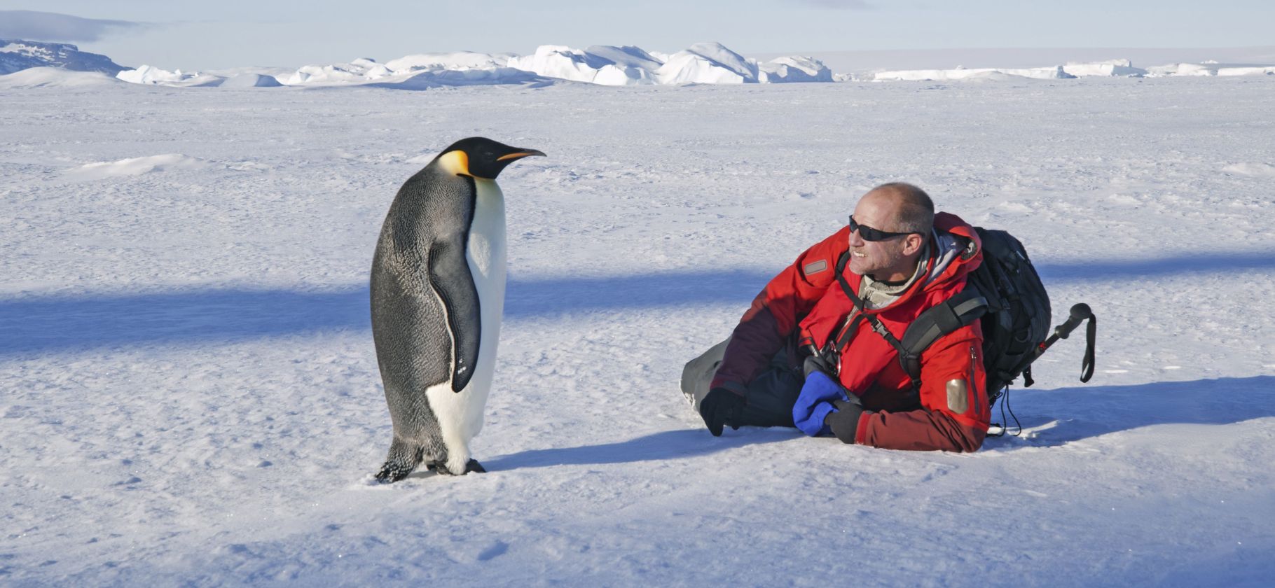 Монахиня или переворачиватель пингвинов: кем бы мы работали в альтернативной реальности