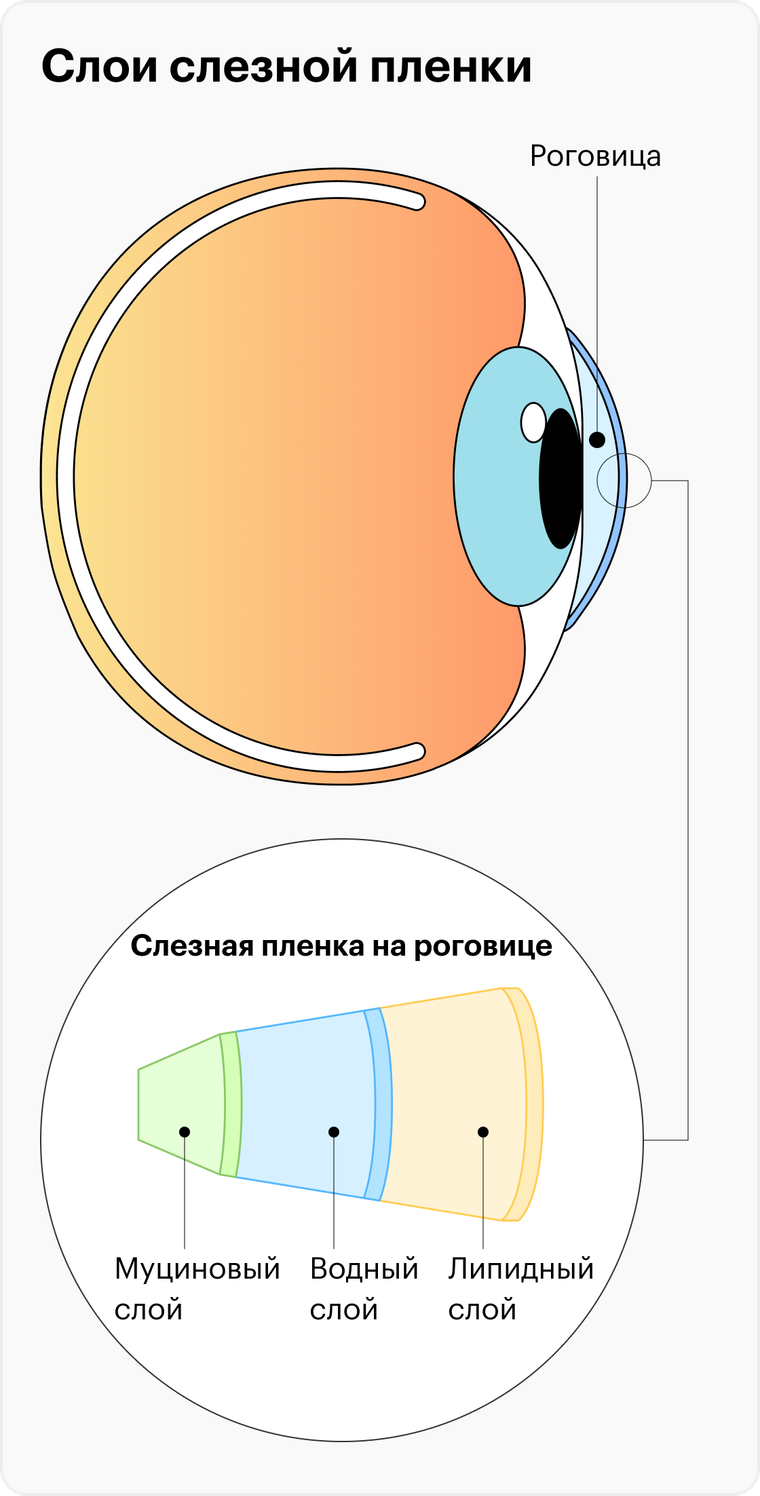 Синдром сухого глаза: симптомы и лечение, причины развития, гимнастика для  глаз